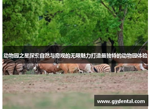 动物园之星探索自然与奇观的无限魅力打造最独特的动物园体验